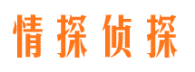 方山市私家侦探